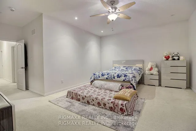 Additional image 22 of 22 Iguana Tr