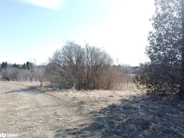 Additional image 21 of 11080 First Line Nassagaweya