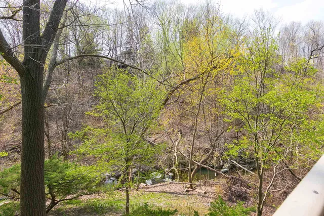 Additional image 28 of 17 Rainbow Creekway N/A