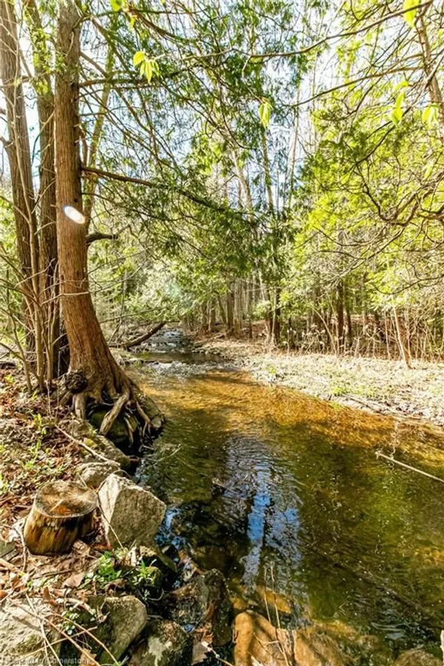 Additional image 42 of 6099 Cedar Grove