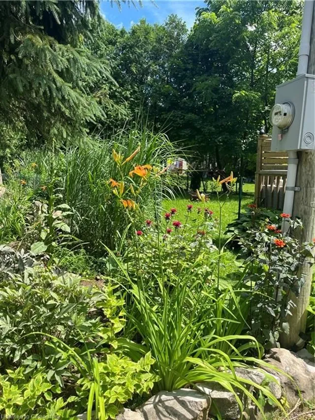 Additional image 28 of 9 Pepper Rd