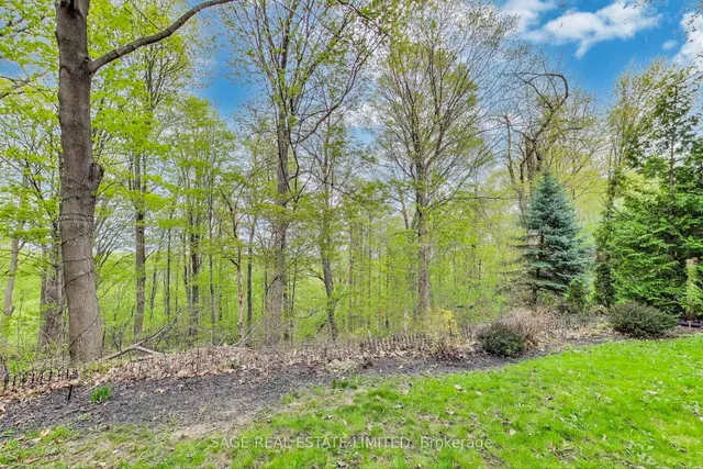 Additional image 38 of 10 Overbrook Pl