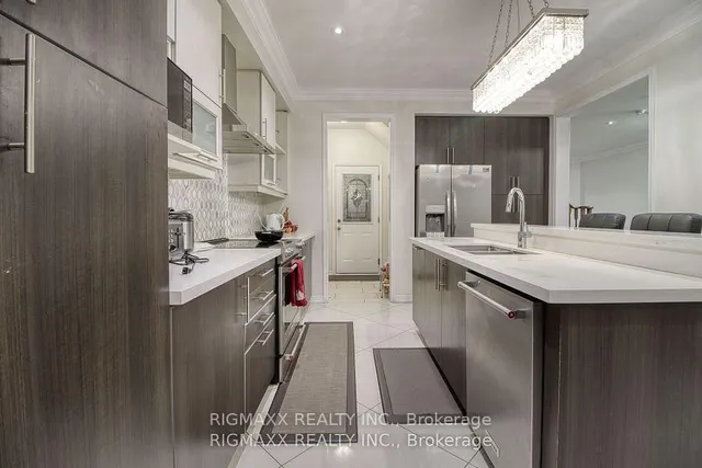 Additional image 7 of 22 Iguana Tr