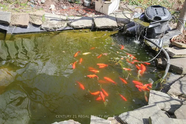 Additional image 38 of 102 Newcastle St