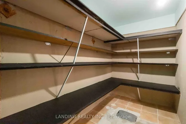 Additional image 41 of 16 Begonia Cres