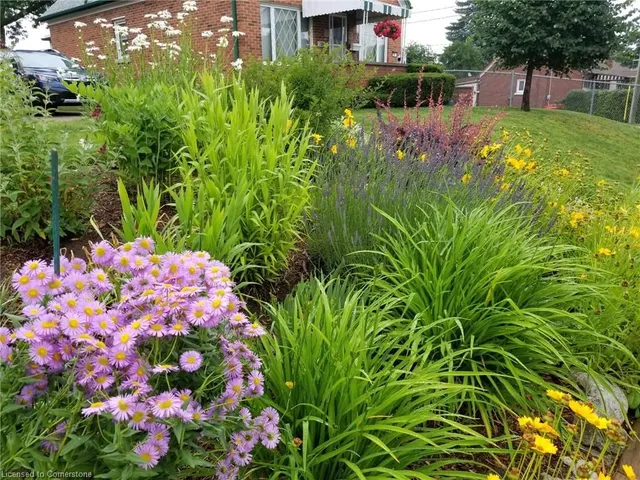 Additional image 3 of 784 Elizabeth St