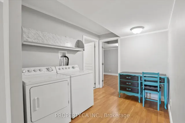 Additional image 37 of 80 Spotted Owl Cres