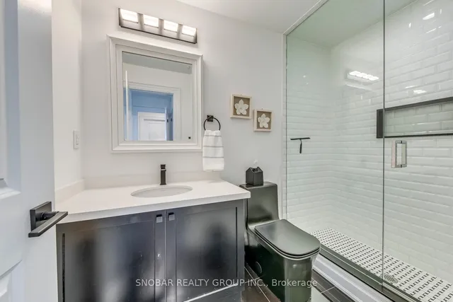 Additional image 20 of 18 Chimney Swift Crt