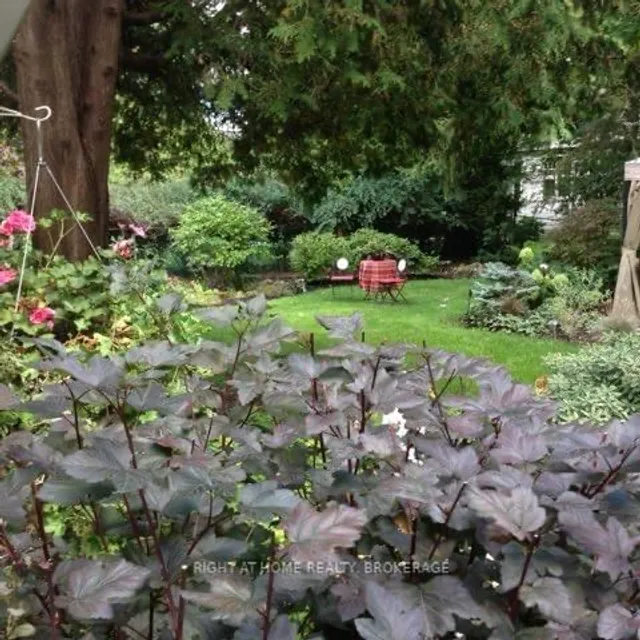 Additional image 25 of 263 Hart Ave