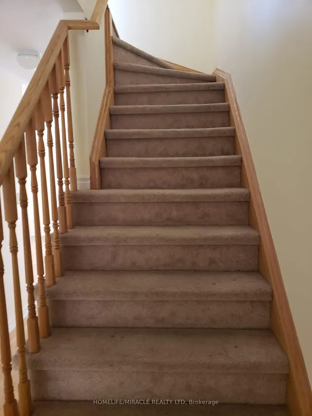 Additional image 9 of 11 Shiff Cres