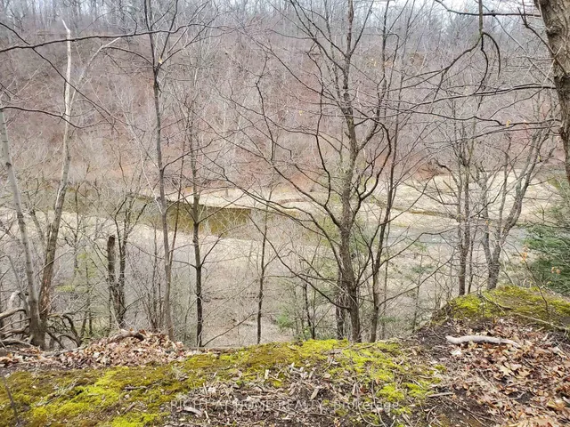 Additional image 46 of 2267 Empire Cres