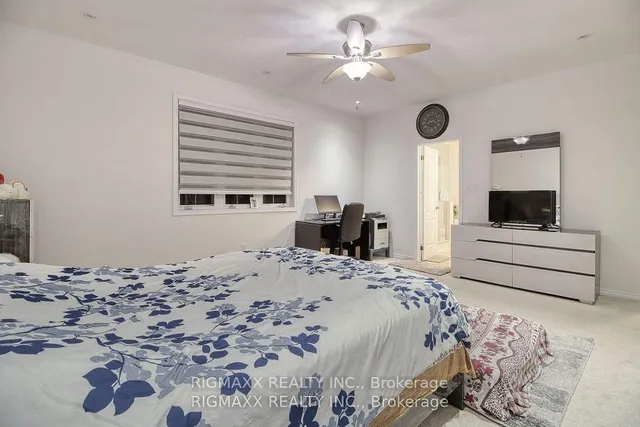 Additional image 30 of 22 Iguana Tr