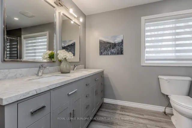 Additional image 37 of 11 Norma Cres