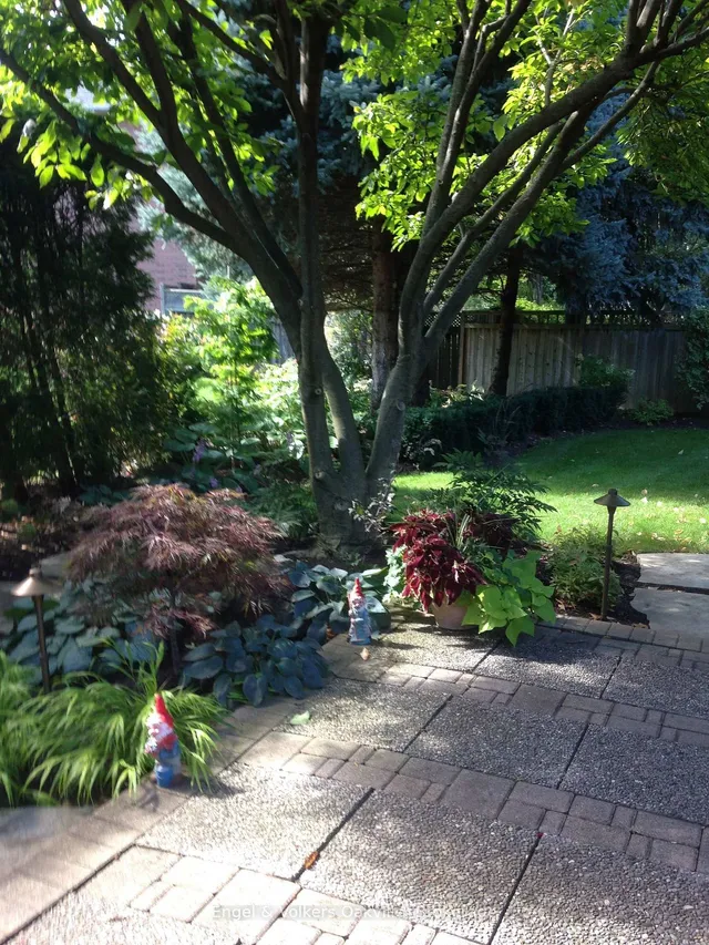 Additional image 32 of 950 Wintergreen Pl