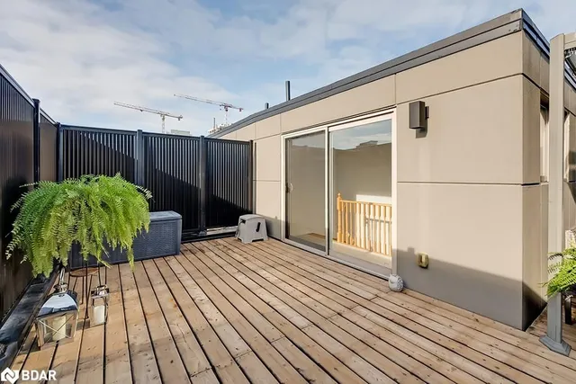 Additional image 28 of 3048 Silvertip Common Common