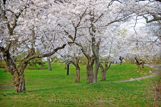 Additional image 44 of 15 Windermere Ave Unit 2610