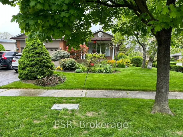 Additional image 8 of 1197 Greyowl Pt