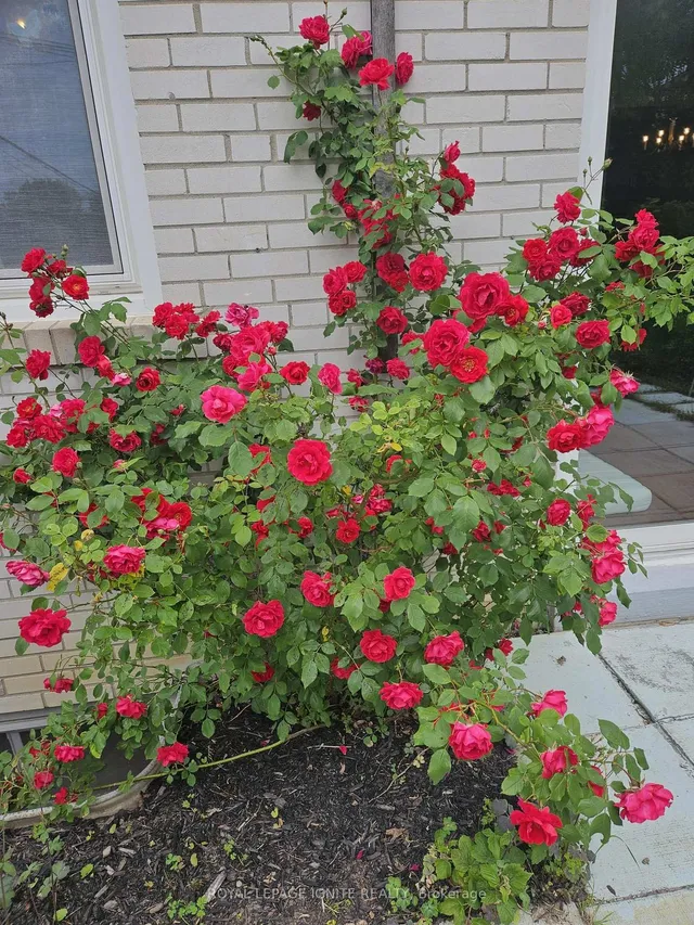 Additional image 41 of 115 Northcrest Rd