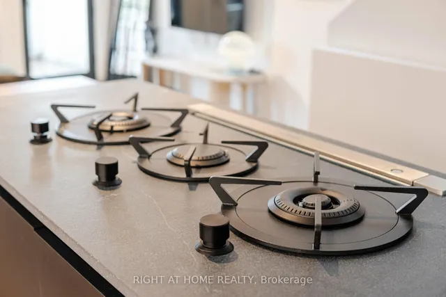 Additional image 24 of 259 Lisgar St