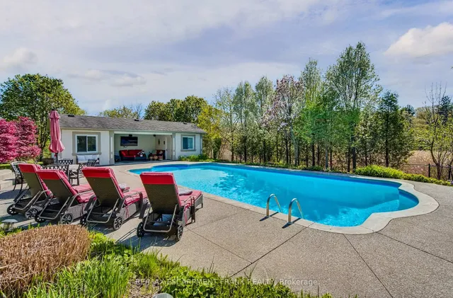 Additional image 43 of 59 Elodia Crt