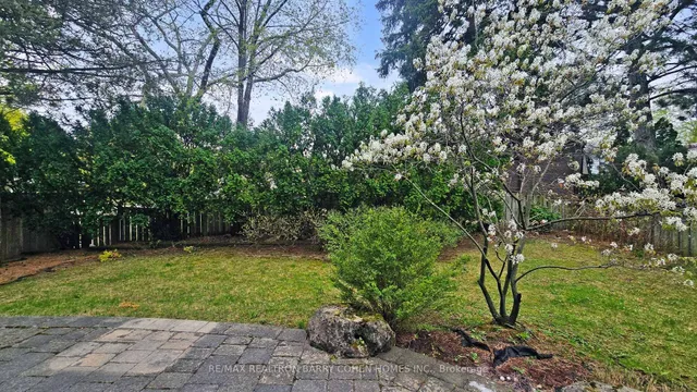 Additional image 46 of 43 Bamboo Grve