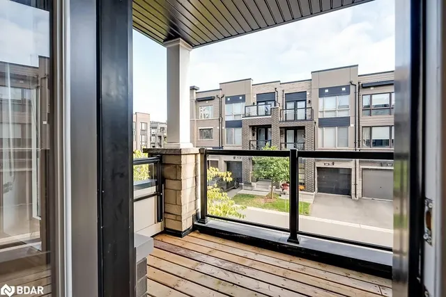 Additional image 18 of 3048 Silvertip Common Common