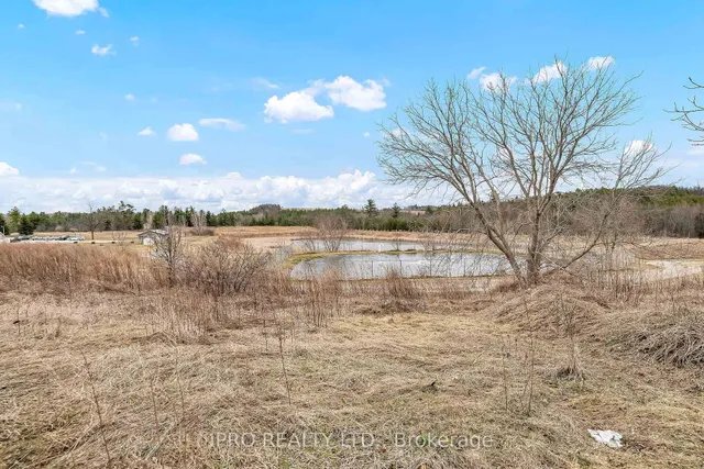 Additional image 23 of 137 Maple Cres