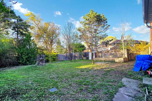 Additional image 45 of 96 CROSSBOW Cres