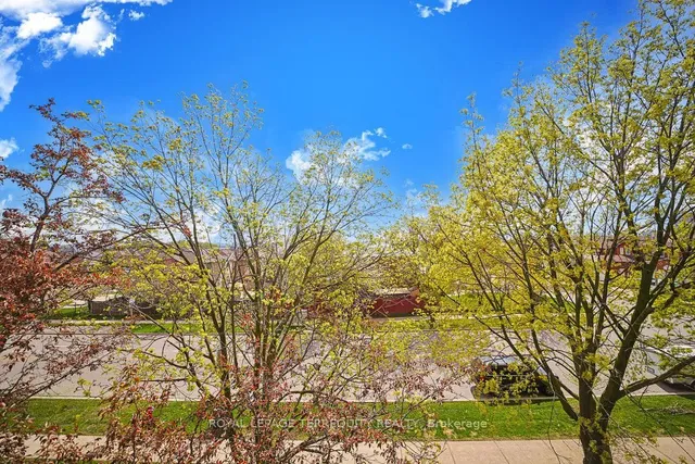 Additional image 37 of 95 Trailwood Dr Unit 832