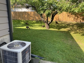 Additional image 3 of 124 Calderwood Dr