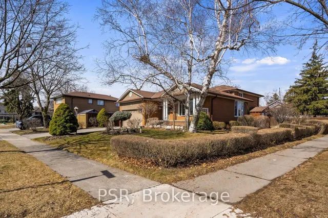 Additional image 2 of 1197 Greyowl Pt