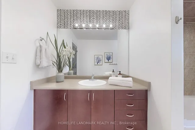 Additional image 46 of 1178 Agram Dr