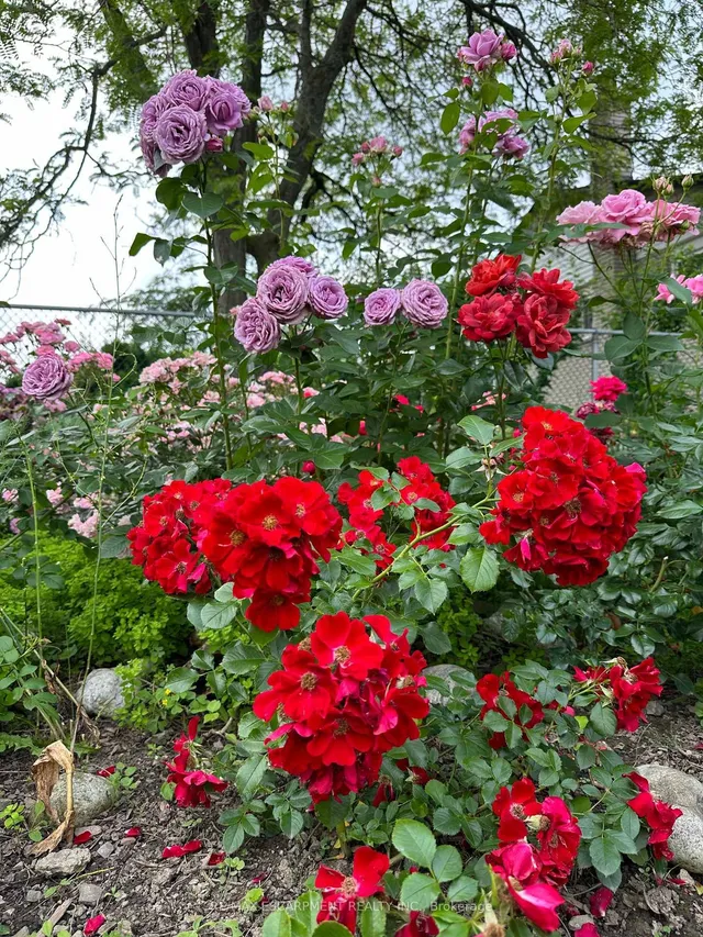 Additional image 49 of 19 Normajean Ave