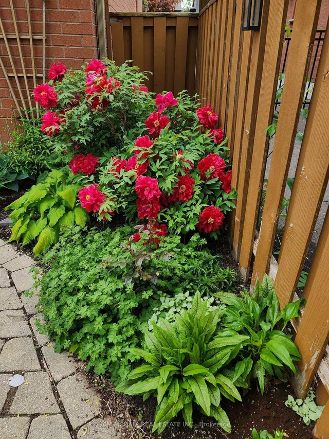 Additional image 48 of 7174 Upton Cres