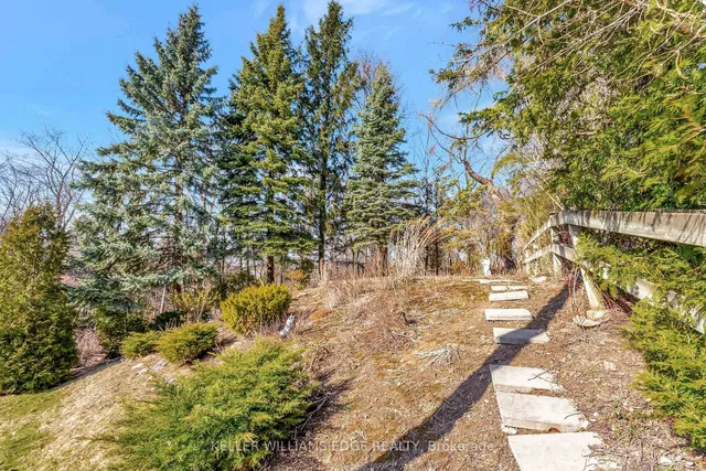 Additional image 36 of 24 Trevor Dr