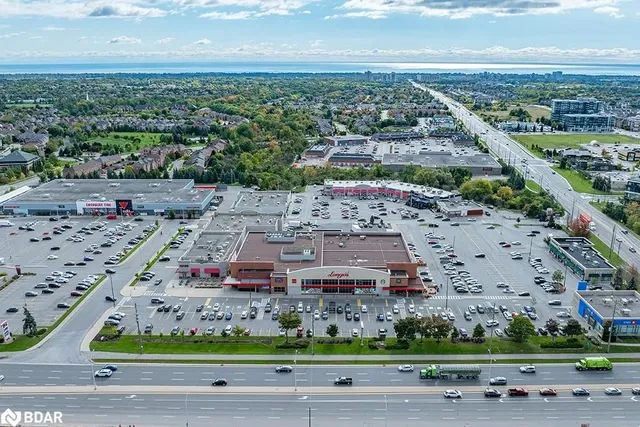 Additional image 39 of 3048 Silvertip Common Common