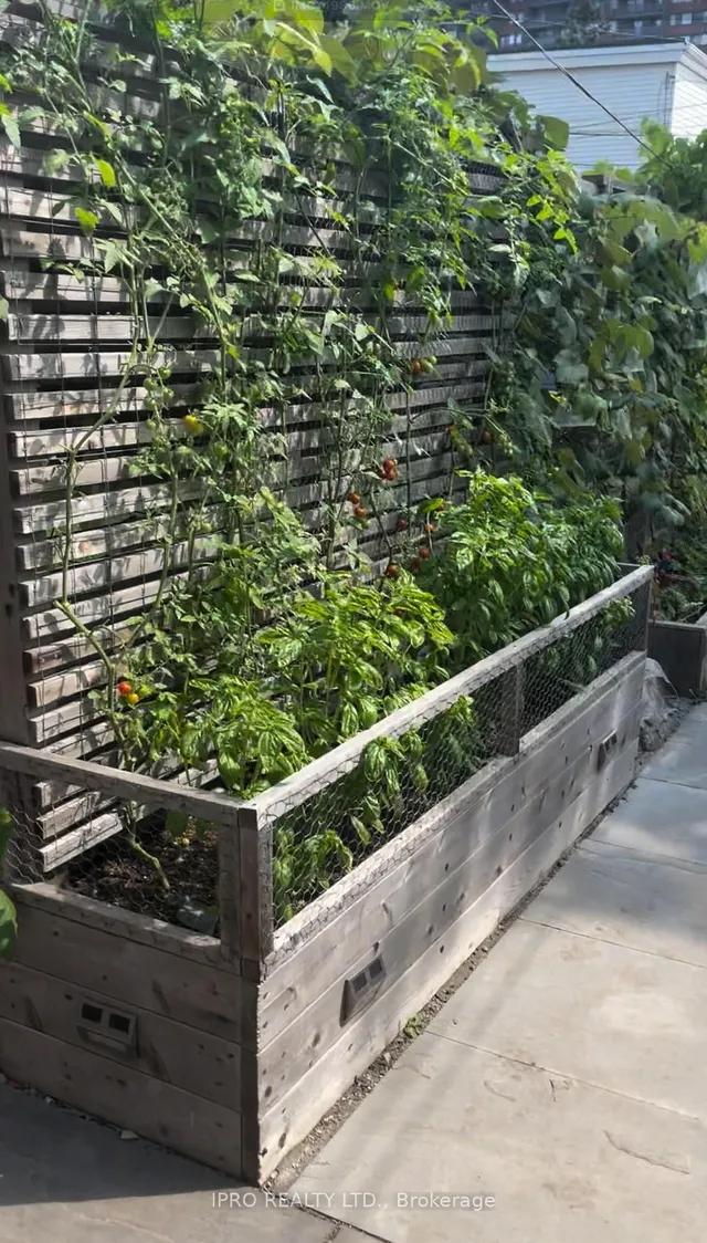 Additional image 36 of 5 Thyra Ave