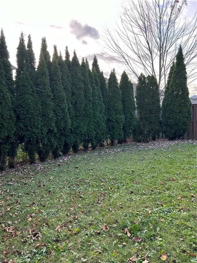 Additional image 18 of 73 Rosebury Way