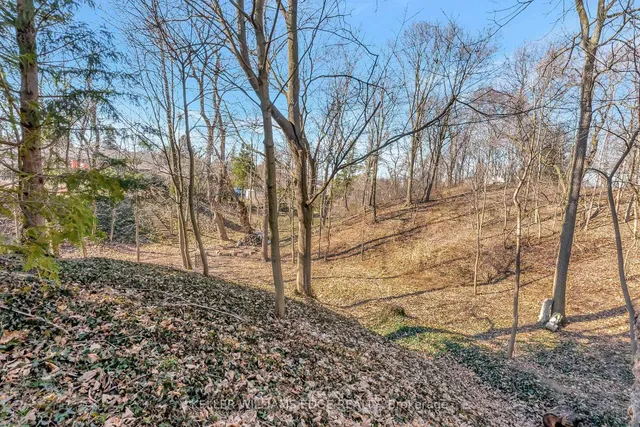 Additional image 39 of 24 Trevor Dr