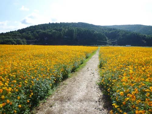 Additional image 24 of Hirano, Yamanakako Village, Minamitsuru District, Yamanashi Prefecture