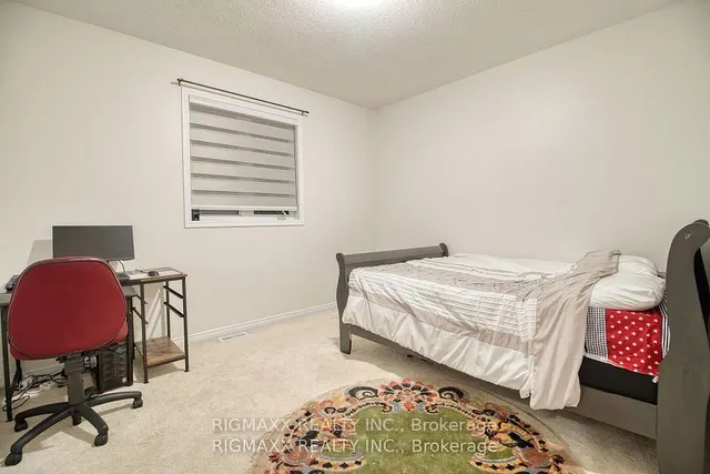 Additional image 37 of 22 Iguana Tr