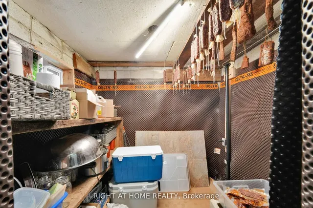 Additional image 39 of 54 Primula Cres