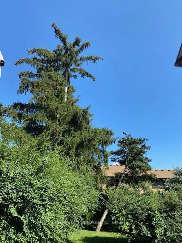 Additional image 40 of 3345 Silverado Dr Unit 71