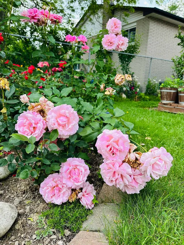 Additional image 44 of 19 Normajean Ave