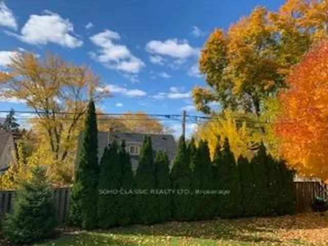 Additional image 18 of 20 Paperbirch Dr