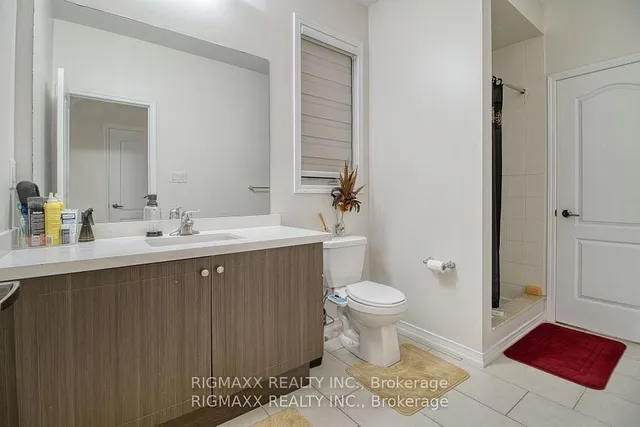 Additional image 23 of 22 Iguana Tr