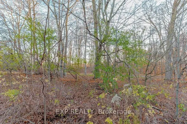 Additional image 4 of 77 Woodedge Circ