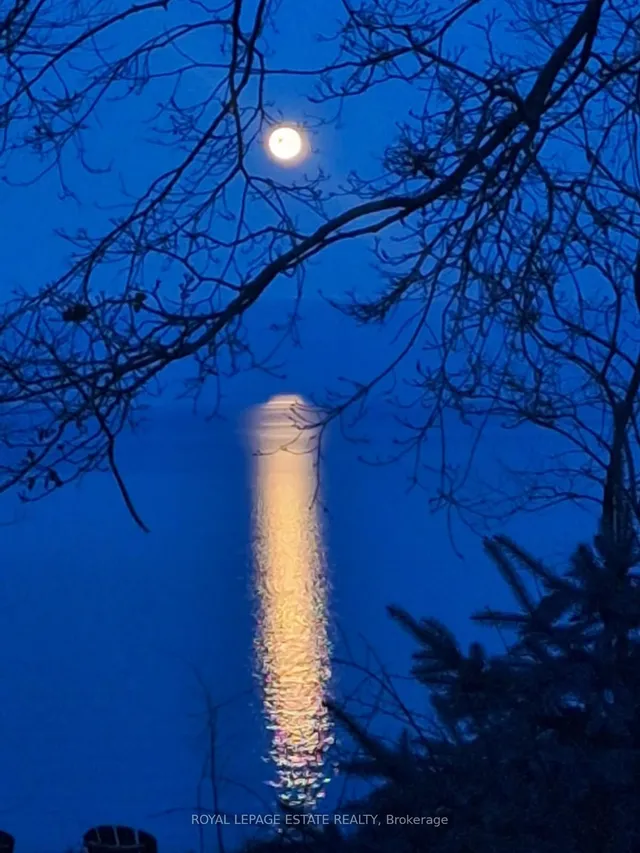 Additional image 47 of 3 Springbank Ave