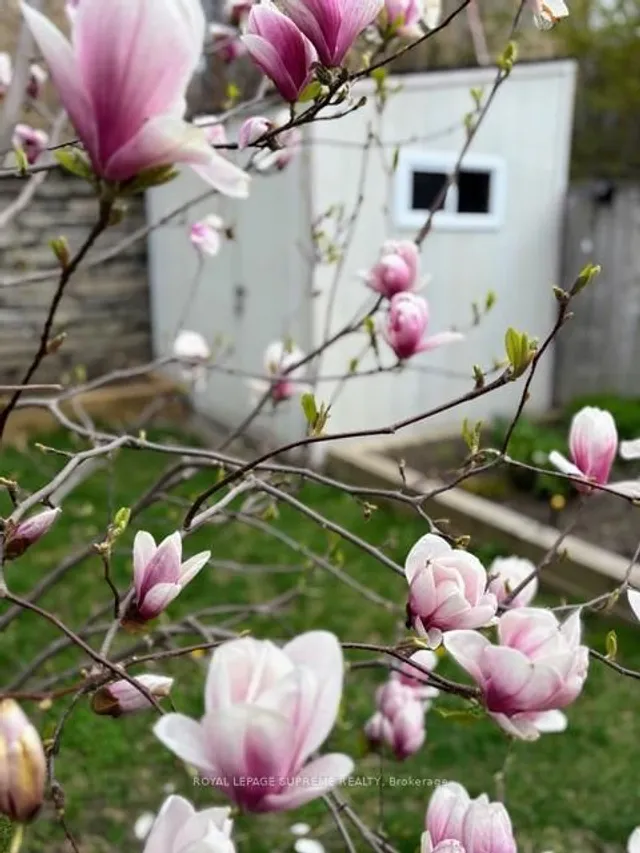 Additional image 45 of 36 Walpole Ave