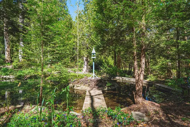 Additional image 42 of 173 Campbell Ave